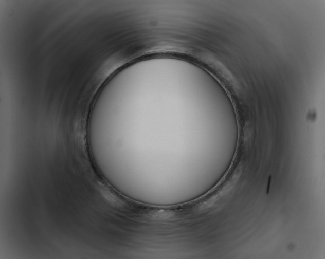 X0000102851321200809021351