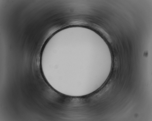 X0000102851322200809021351