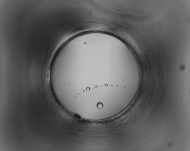 X0000102851324200809021351