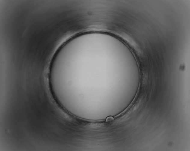 X0000102851325200809021351