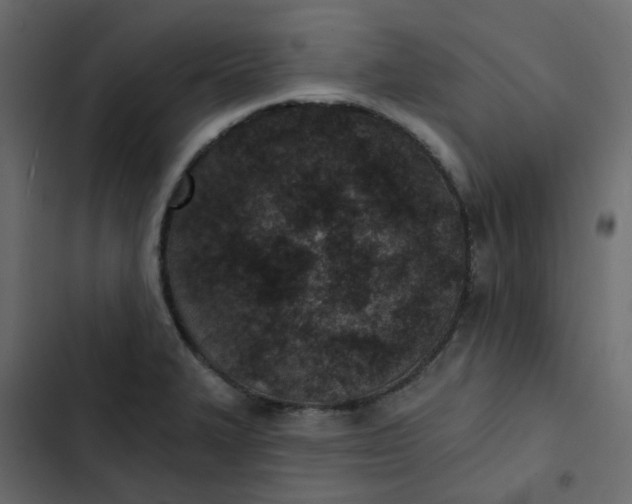 X0000102851327200809021351