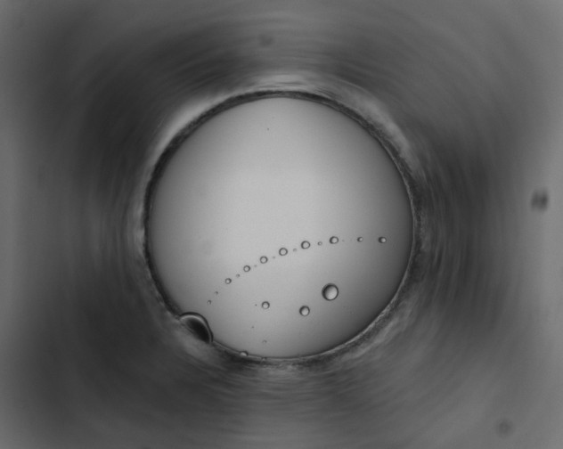 X0000102851328200809021351