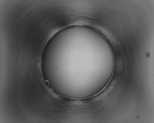 X0000102851329200809021351