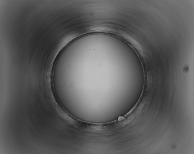 X0000102851330200809021351