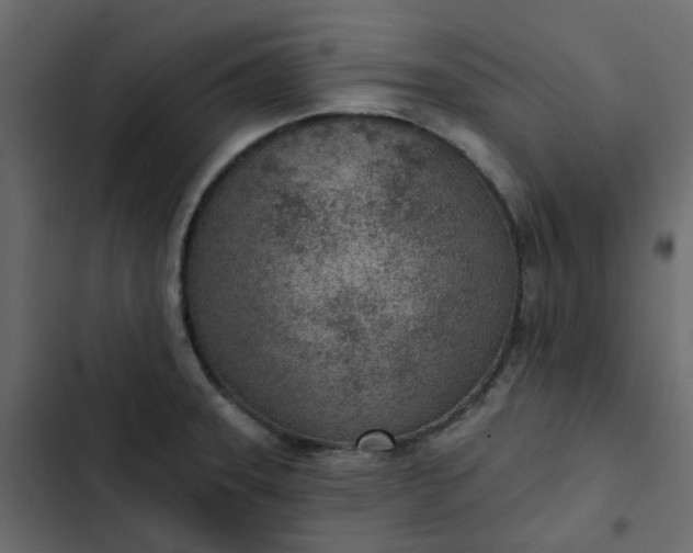 X0000102851331200809021351