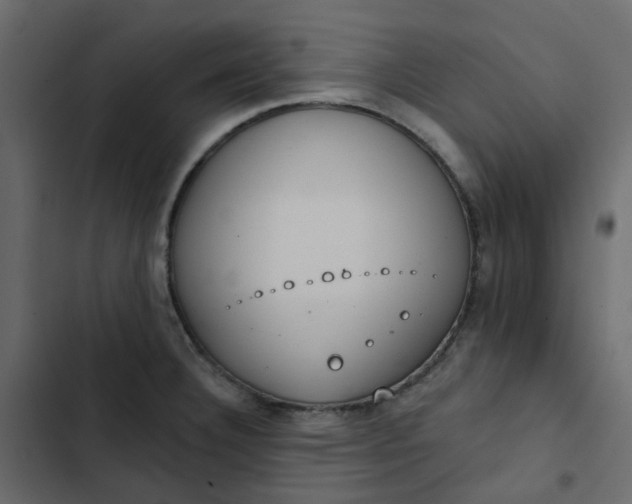 X0000102851332200809021351