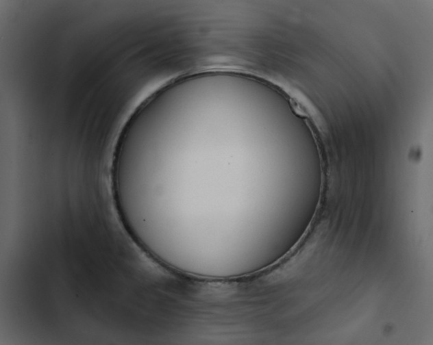 X0000102851333200809021351