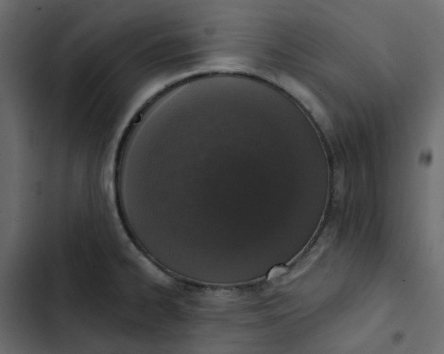 X0000102851334200809021351