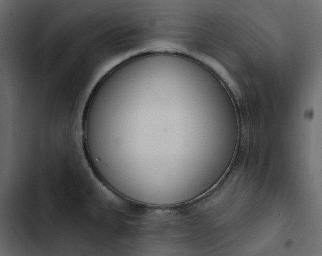 X0000102851335200809021352