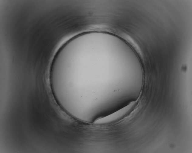 X0000102851336200809021352