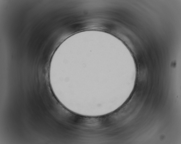 X0000102851338200809021352