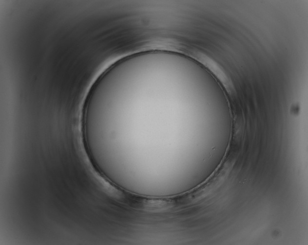 X0000102851339200809021352