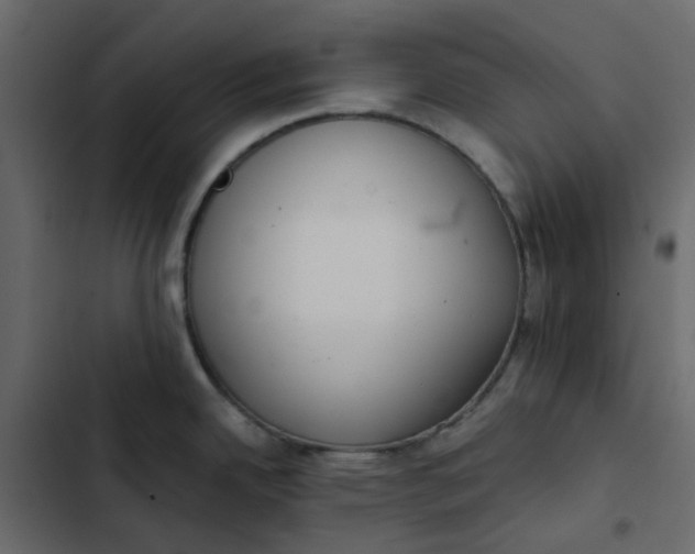 X0000102851342200809021352