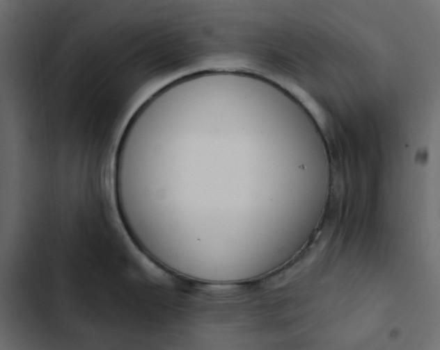 X0000102851343200809021352