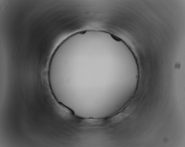 X0000102851344200809021352