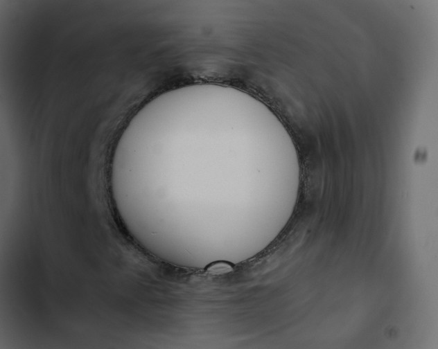 X0000102851345200809021351