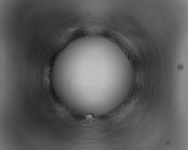 X0000102851346200809021351