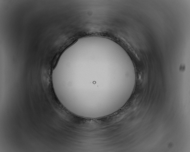 X0000102851348200809021351