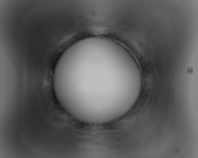 X0000102851349200809021351