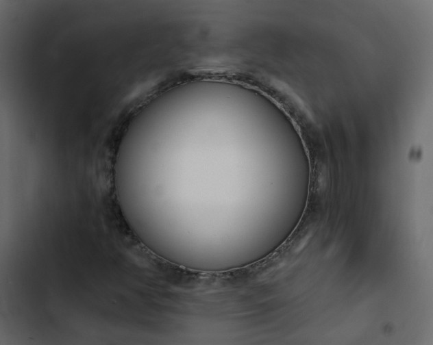 X0000102851350200809021351