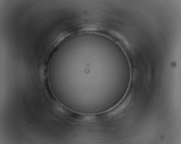 X0000102851353200809021351