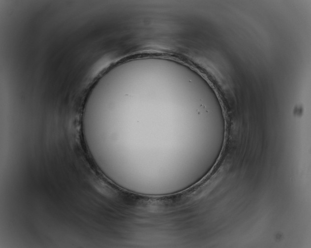 X0000102851355200809021351