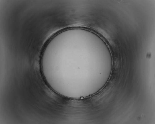 X0000102851356200809021351