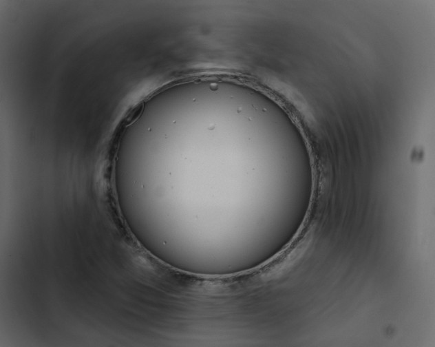 X0000102851357200809021351