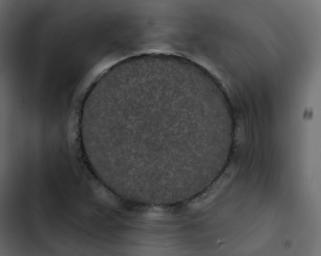 X0000102851359200809021351