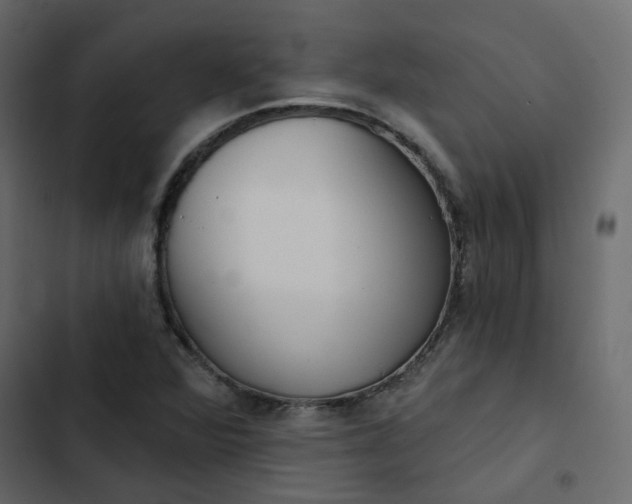 X0000102851360200809021351