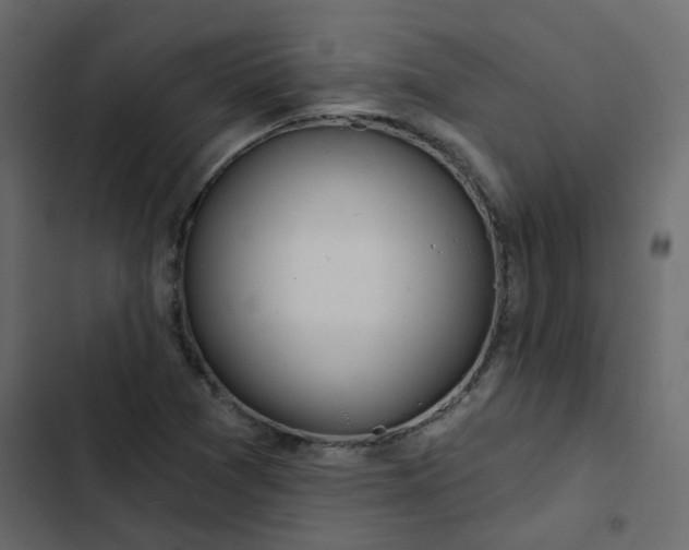 X0000102851361200809021351