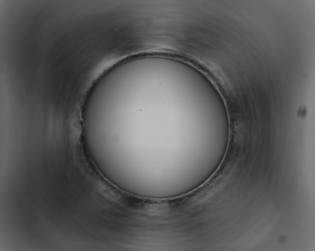 X0000102851363200809021351