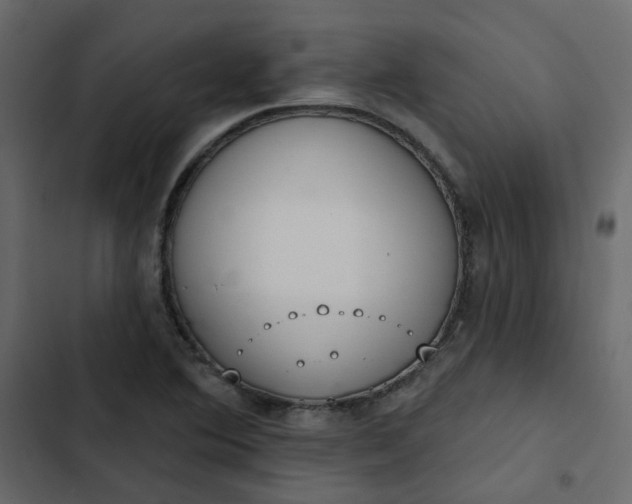 X0000102851364200809021351