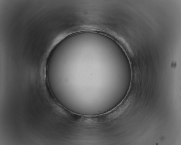 X0000102851365200809021351