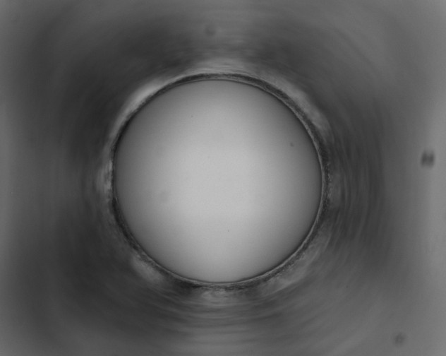 X0000102851366200809021351