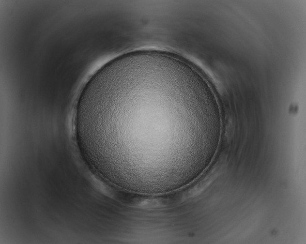 X0000102851367200809021351