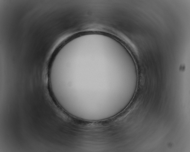 X0000102851368200809021351