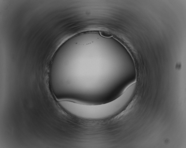 X0000102851369200809021351