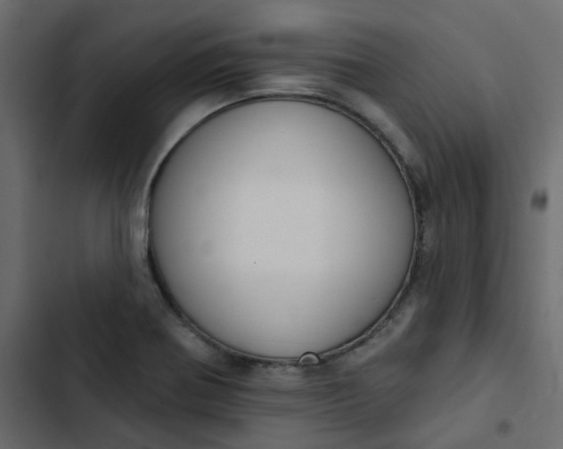 X0000102851370200809021351