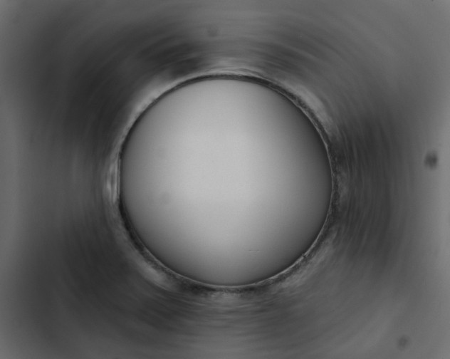 X0000102851371200809021351