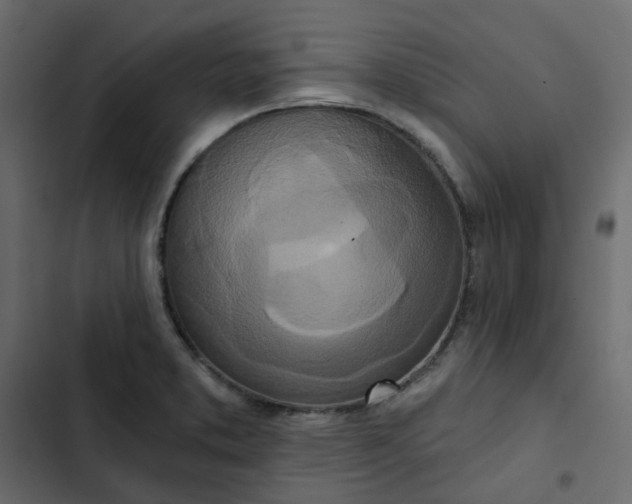 X0000102851373200809021351