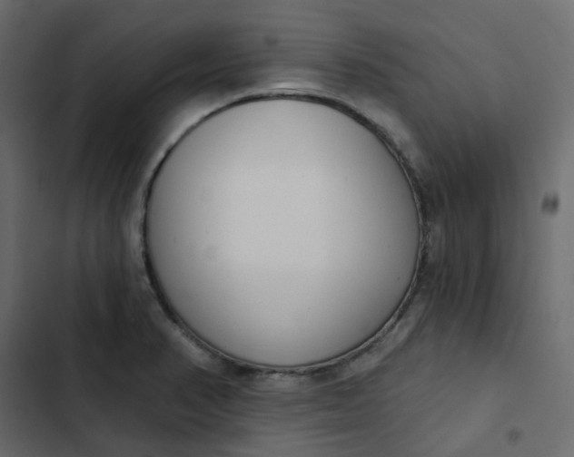 X0000102851374200809021351