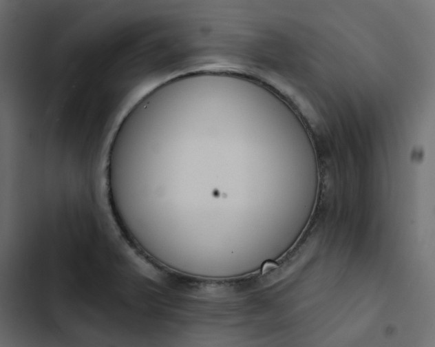 X0000102851375200809021351