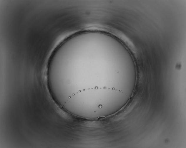 X0000102851376200809021351