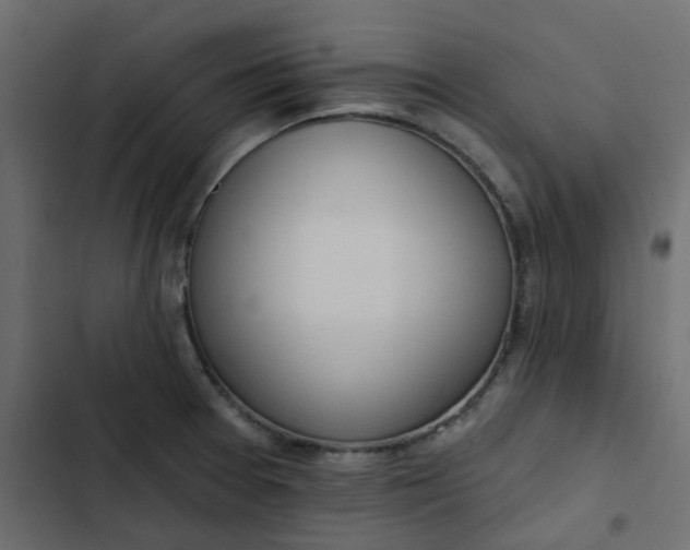 X0000102851377200809021351