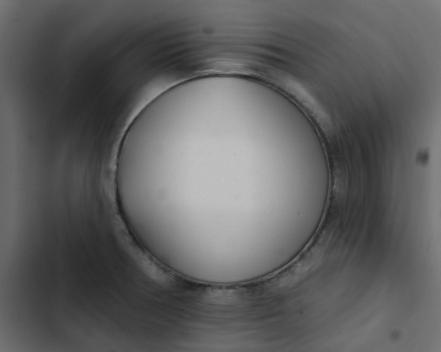 X0000102851378200809021351