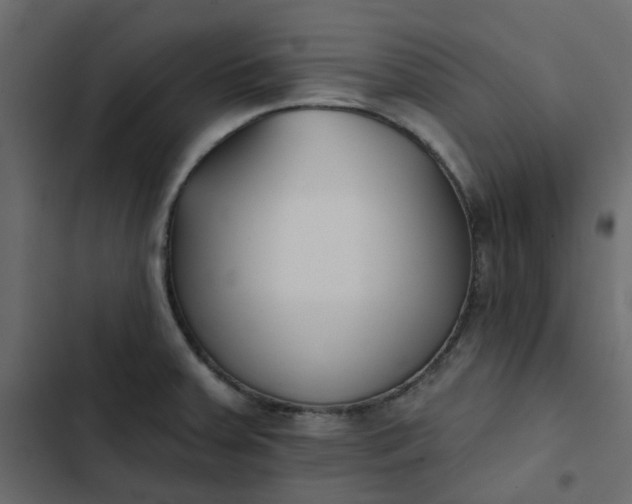 X0000102851379200809021351