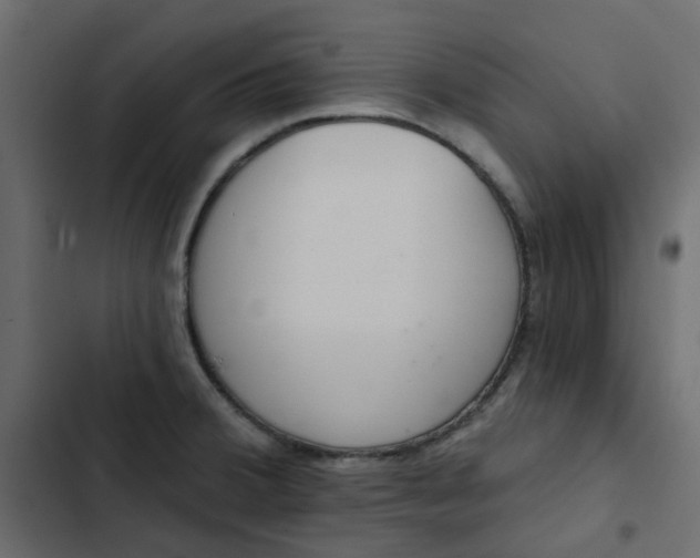 X0000102851380200809021350