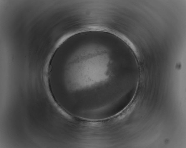 X0000102851381200809021350