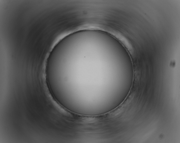 X0000102851382200809021350